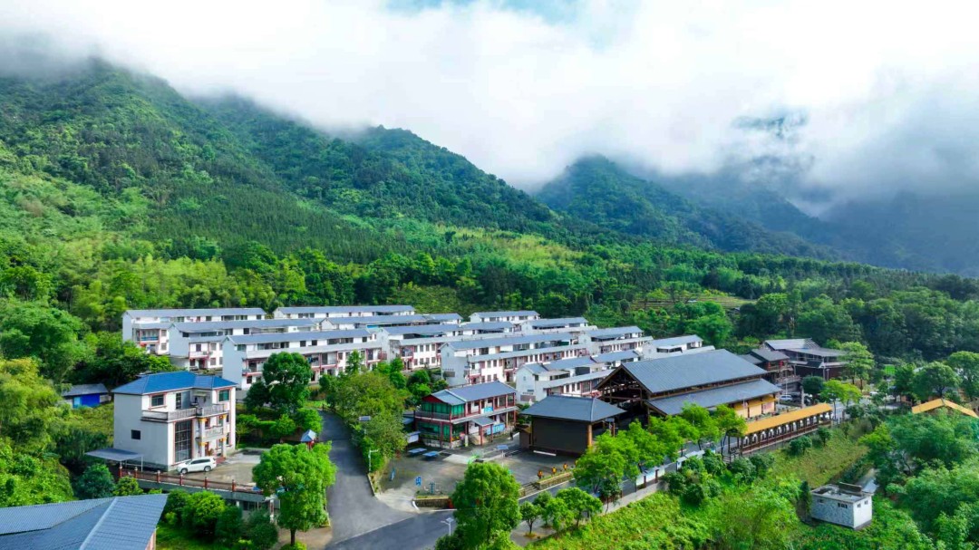 微信图片_2026-03-13_112732_648