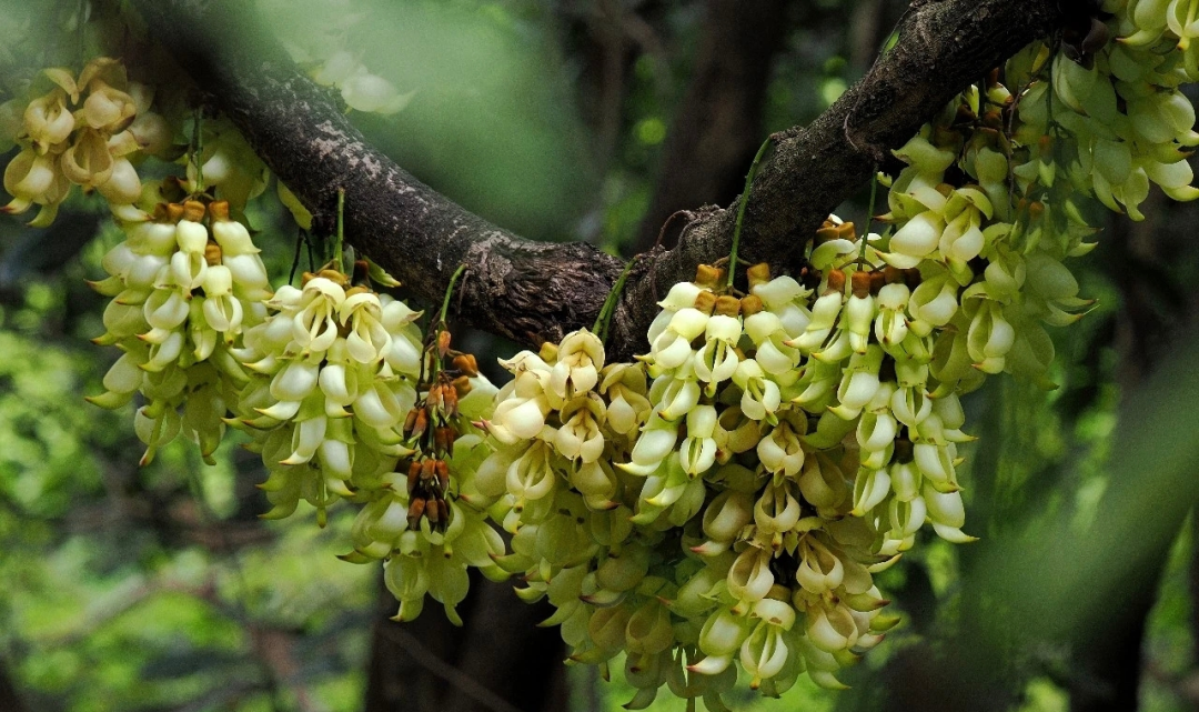 微信图片_20260313100840_91_6