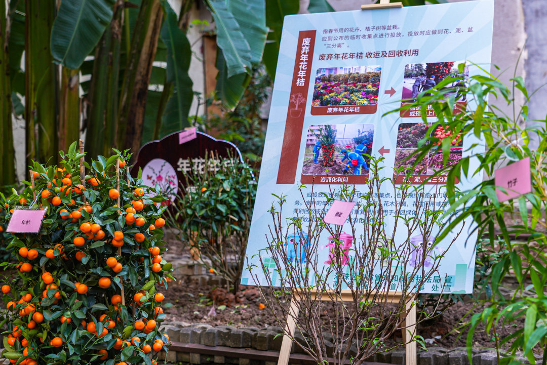 基地里关于废弃年花年桔的宣传。