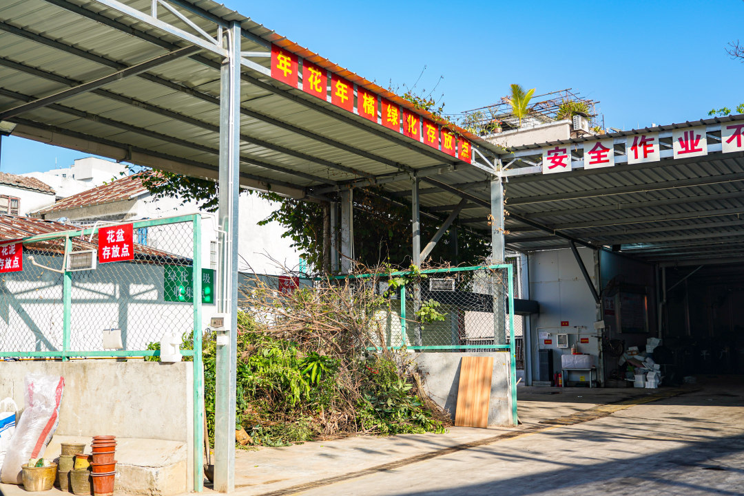 海珠区南华西街的年花年桔临时收集点。
