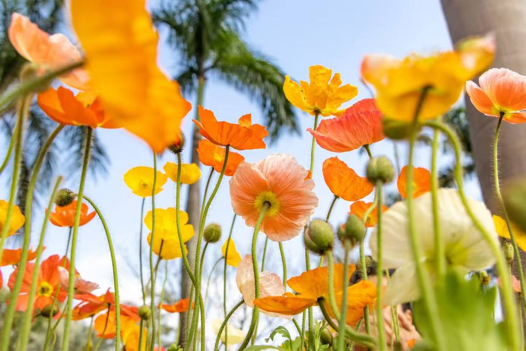 ddaf9521738497fe9171914b04963bf9.jpg ddaf9521738497fe9171914b04963bf9.jpg