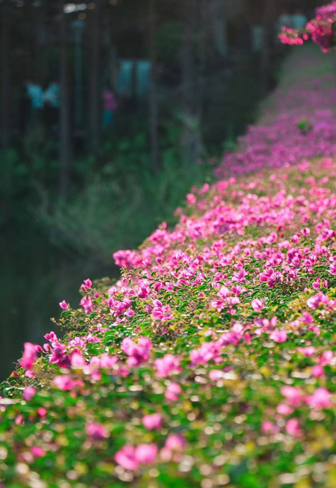 1df46e93e268e5b712e76408abf2d8e0.jpg 1df46e93e268e5b712e76408abf2d8e0.jpg