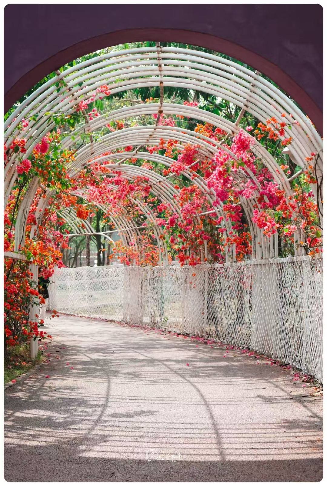 a3d537df00255994487346623423734b.jpg a3d537df00255994487346623423734b.jpg