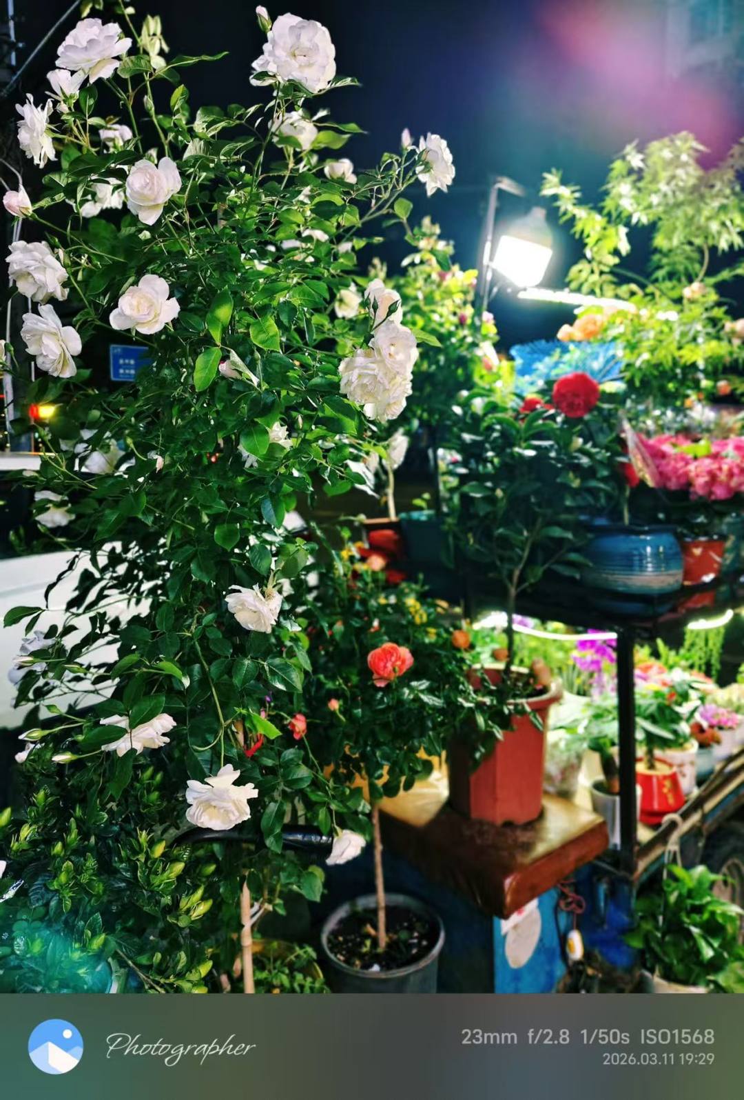 9e37958768bf531cae854c8537238789.jpg 9e37958768bf531cae854c8537238789.jpg