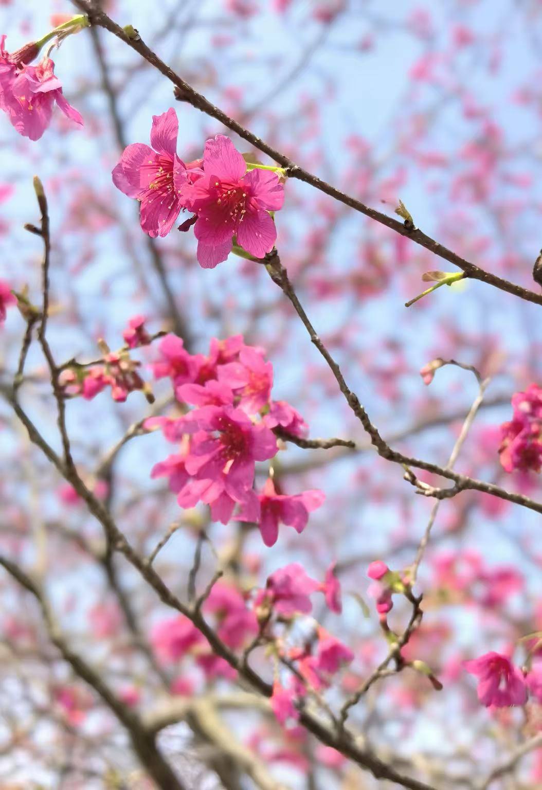 2931903f79994e71e3170414bbd6b27d.jpg 2931903f79994e71e3170414bbd6b27d.jpg