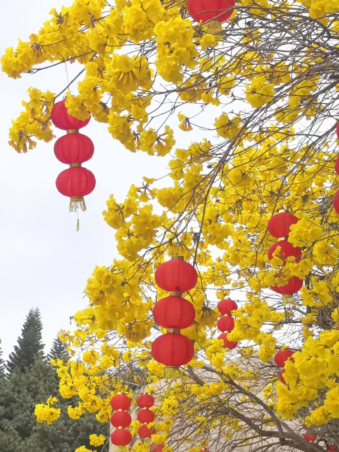 b9ab17d9e489931aa6d15e1d5b3e7a1f.jpg b9ab17d9e489931aa6d15e1d5b3e7a1f.jpg