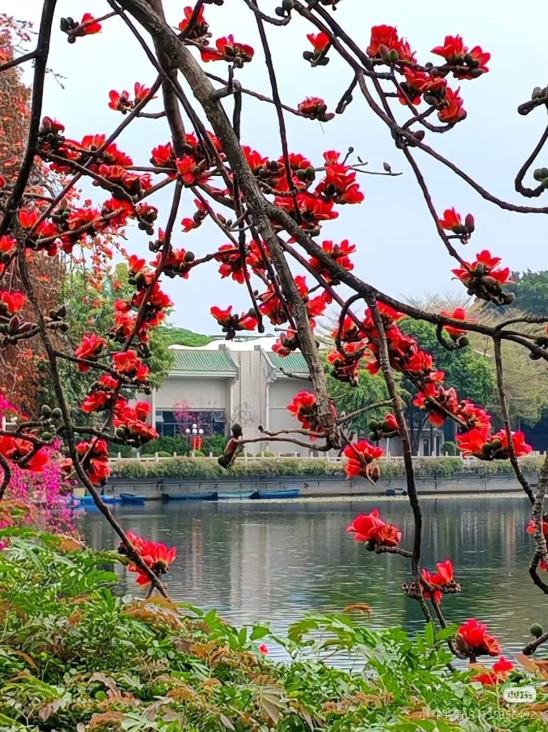 63283520de19cdec01bc2374f18303ad.jpg 63283520de19cdec01bc2374f18303ad.jpg