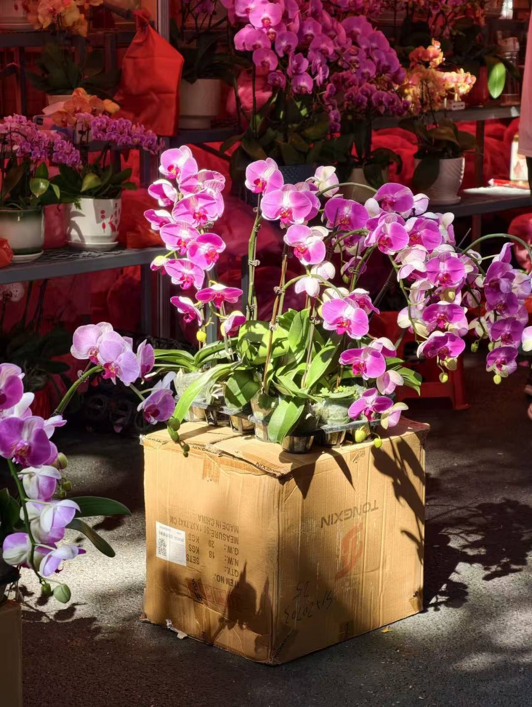 70e0338dcd3be2b51c7d530e4bce6260.jpg 70e0338dcd3be2b51c7d530e4bce6260.jpg