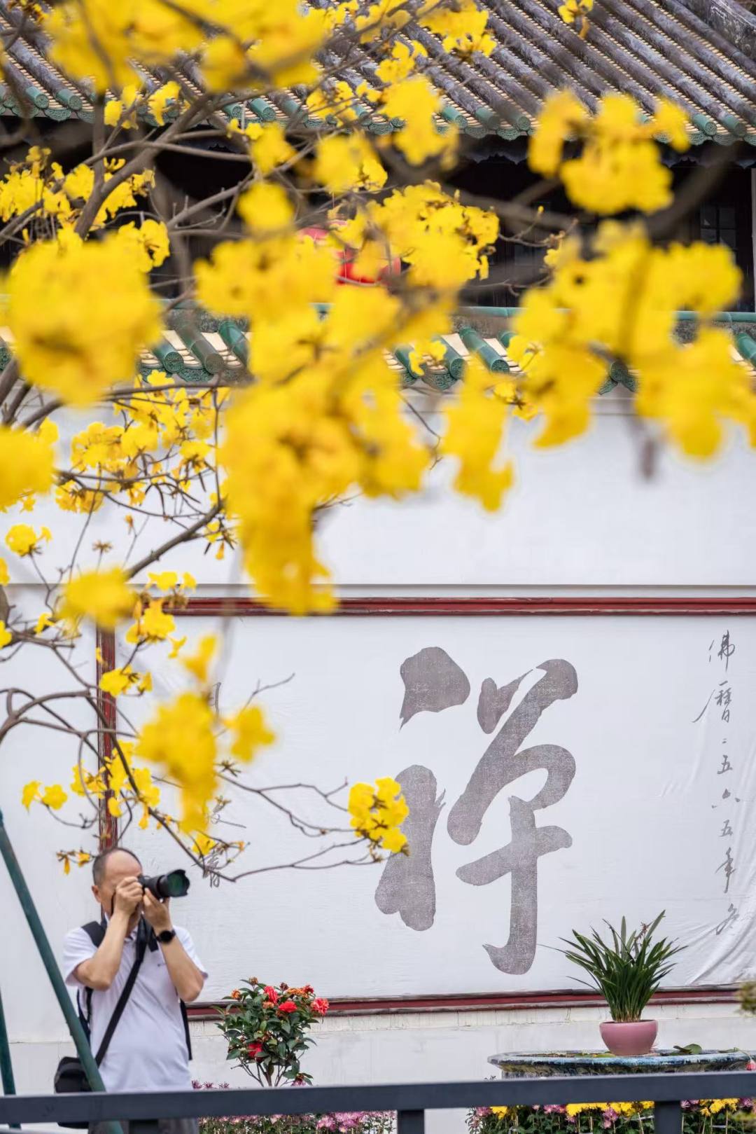 e25453a3f1d006779ce187eba49b0ec1.jpg e25453a3f1d006779ce187eba49b0ec1.jpg