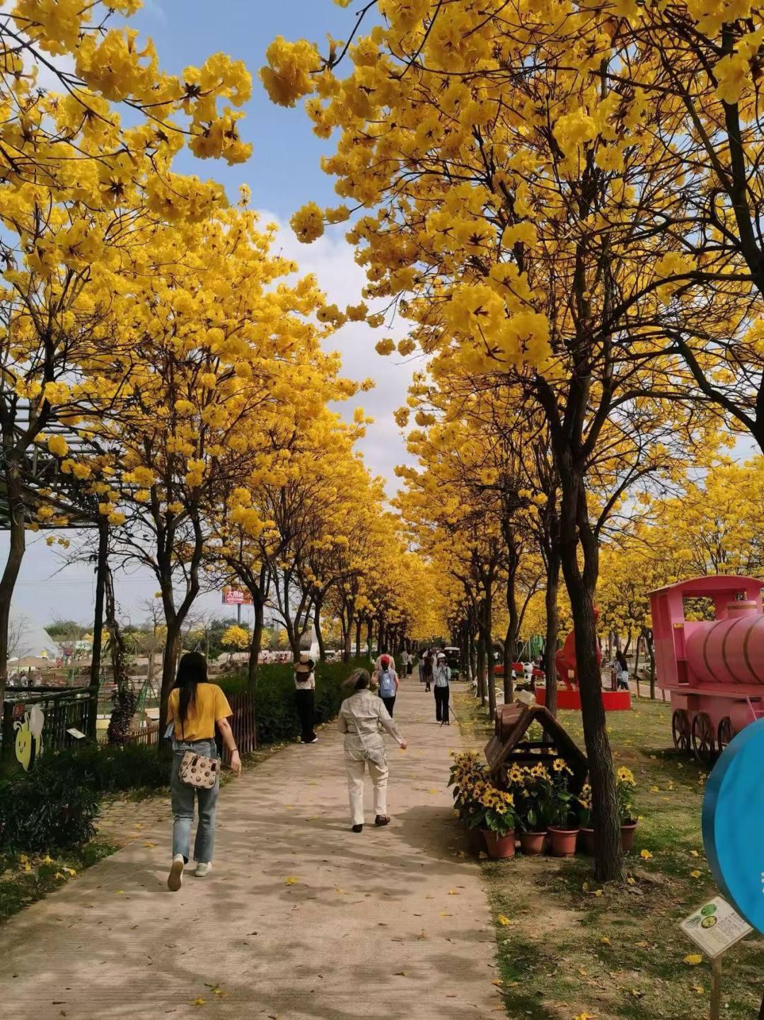 f0538986d636b2b4ebda3c939c5bd734.jpg f0538986d636b2b4ebda3c939c5bd734.jpg