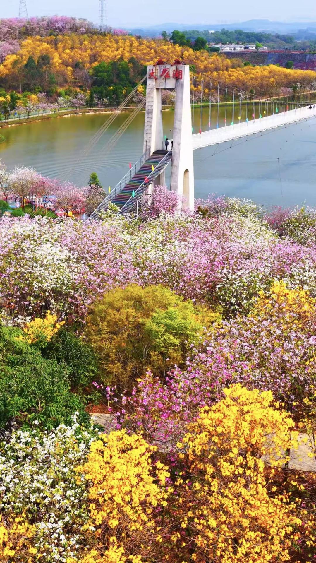 97d486ecd950168dcfa3805c7bf74f7c.jpg 97d486ecd950168dcfa3805c7bf74f7c.jpg