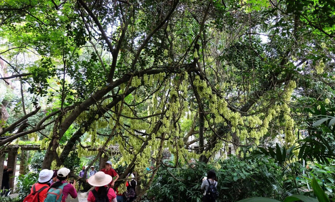 微信图片_20260313182829_356_120