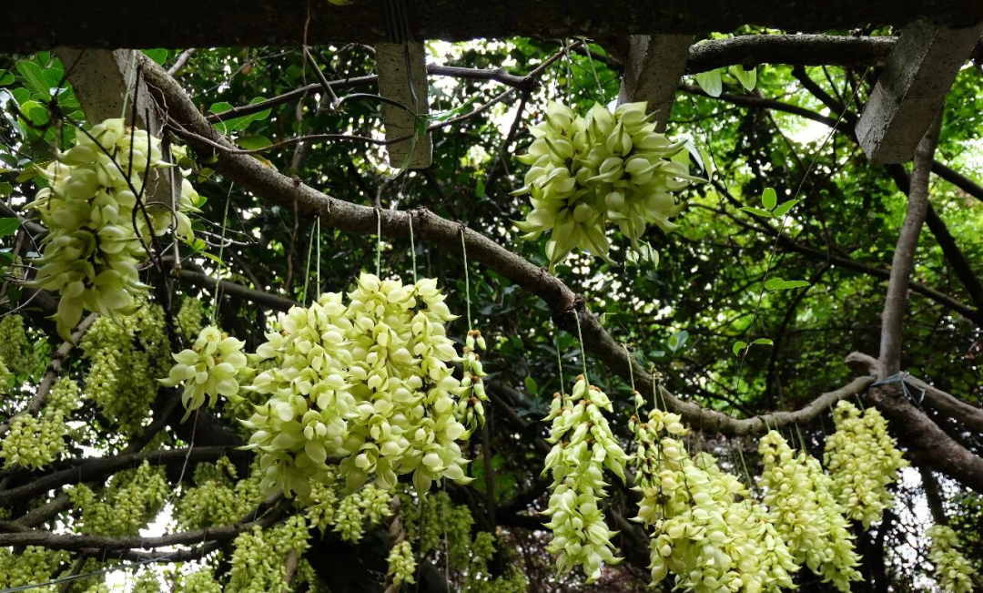 微信图片_20260313182831_357_120