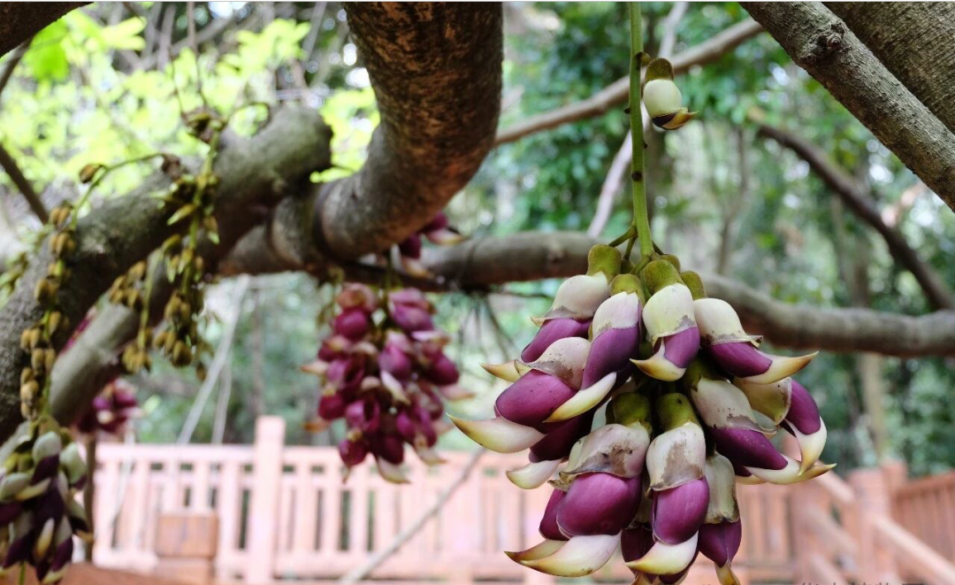 微信图片_20260313182834_359_120