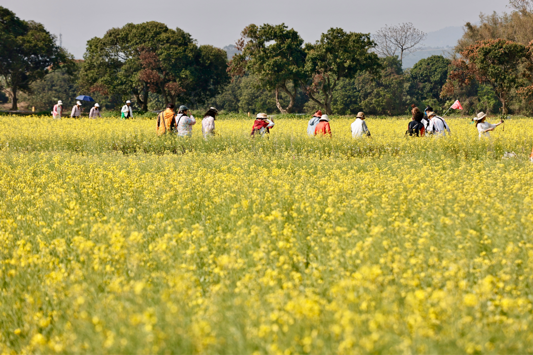 高鹤涛20260316 从化_湾区农芯汇_启幕 打造湾区农业_最强大脑_.png