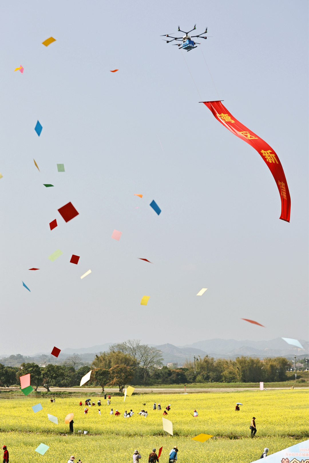 2026年3月16日,广州从化鳌头万亩良田示范区内,