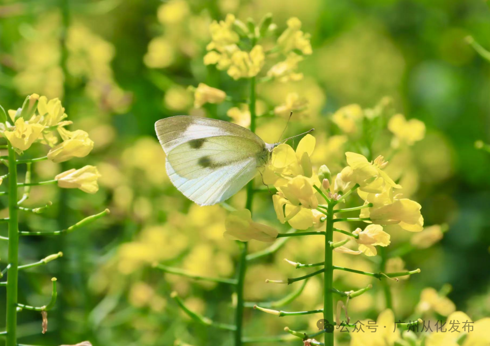 b0de40249b00c5aa26c7f98f1359c9e4