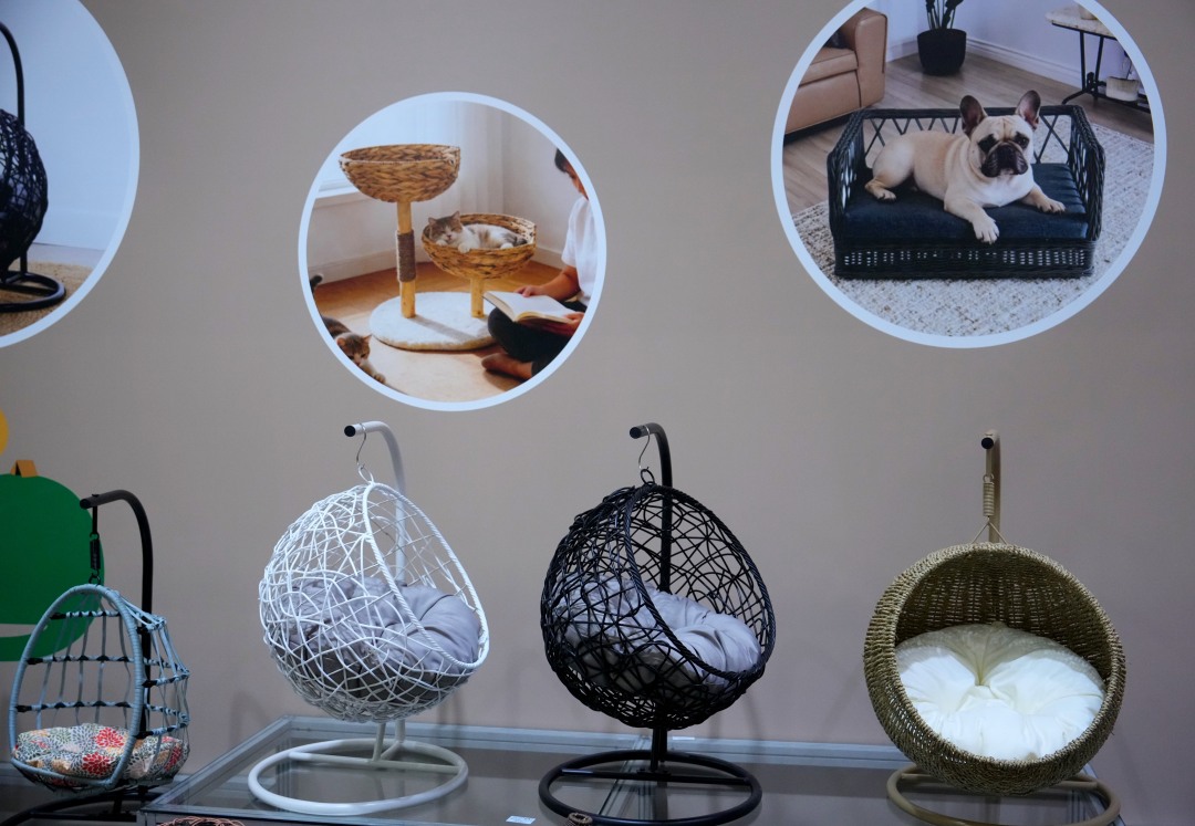 人宠共享家居受欢迎。