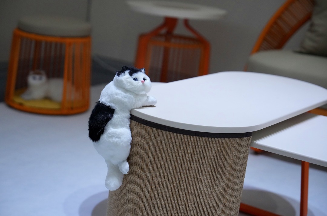 人宠共享家居受欢迎。