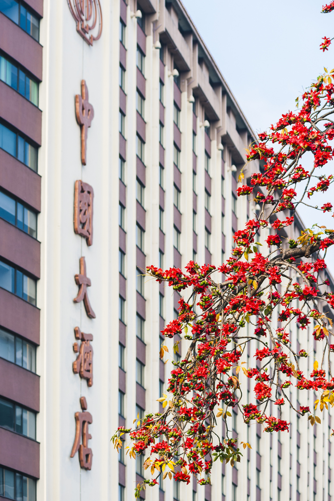 aa58eefe95a2a63bf20ed0b55bcc9aa4-sz_7256131