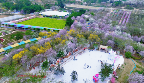 ScreenShot_2026-03-20_094413_675