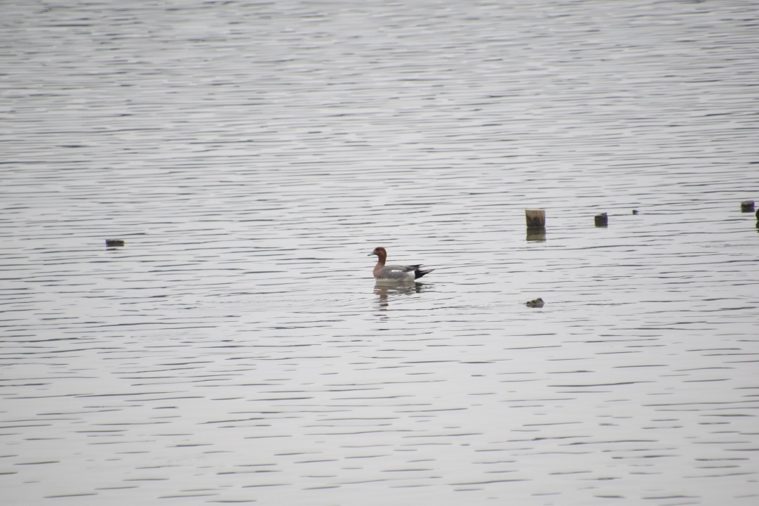 微信图片_20260319221522_93_3889