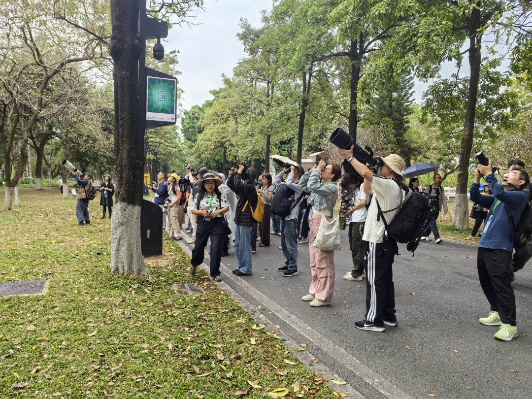 广东观鸟拍鸟营广州站