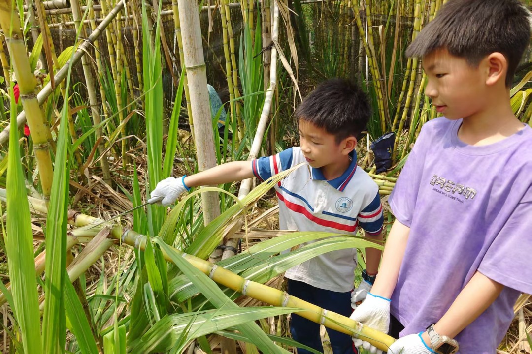 微信图片_20260322175938_507_129