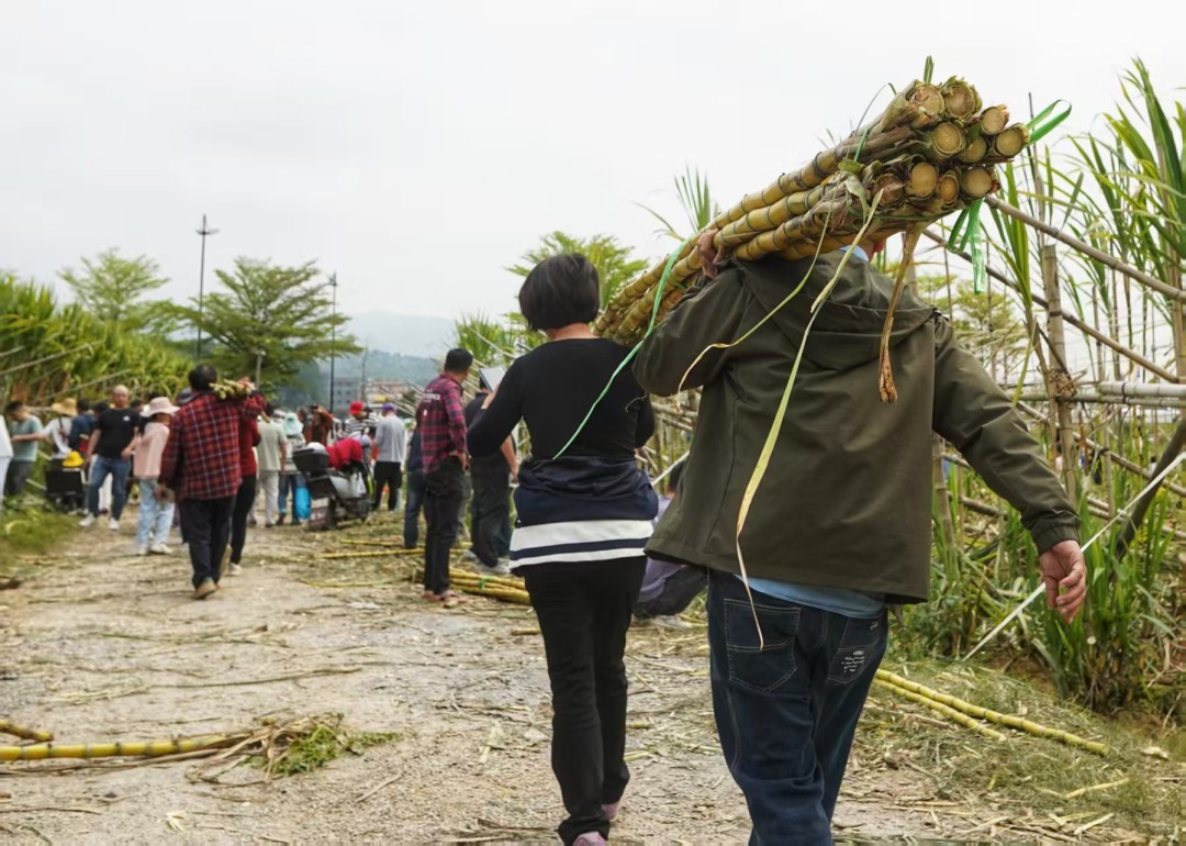 微信图片_20260322175808_504_129