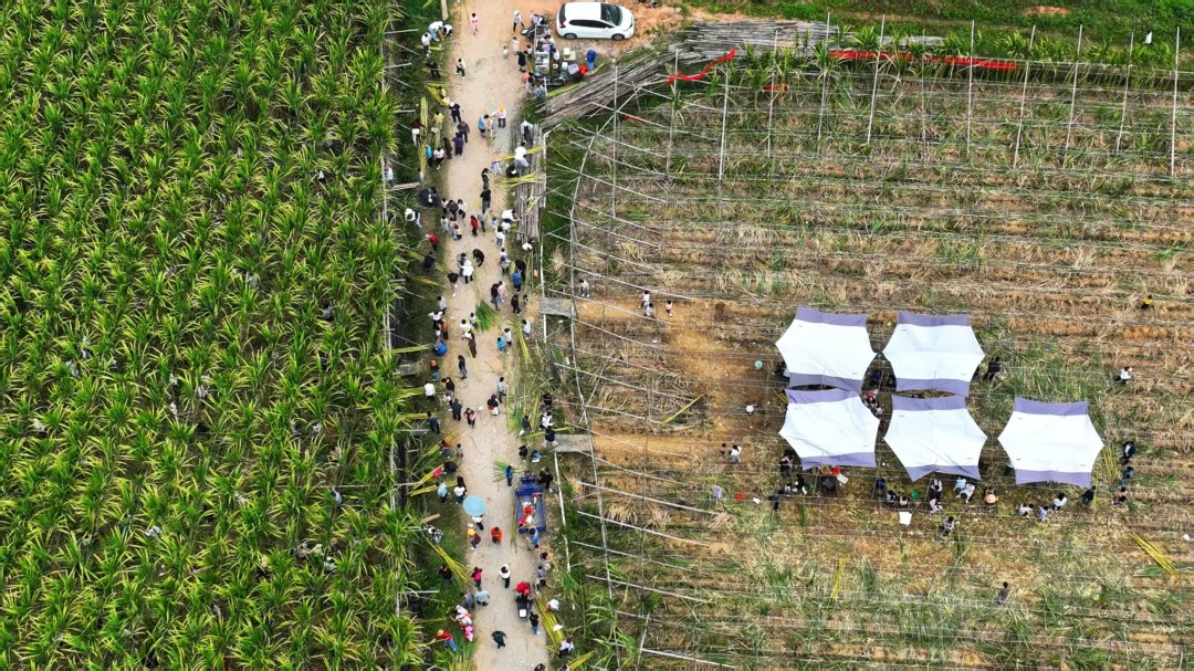 微信图片_20260322175801_502_129