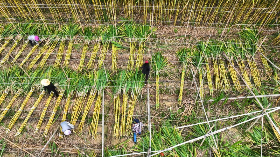 微信图片_20260322175759_500_129