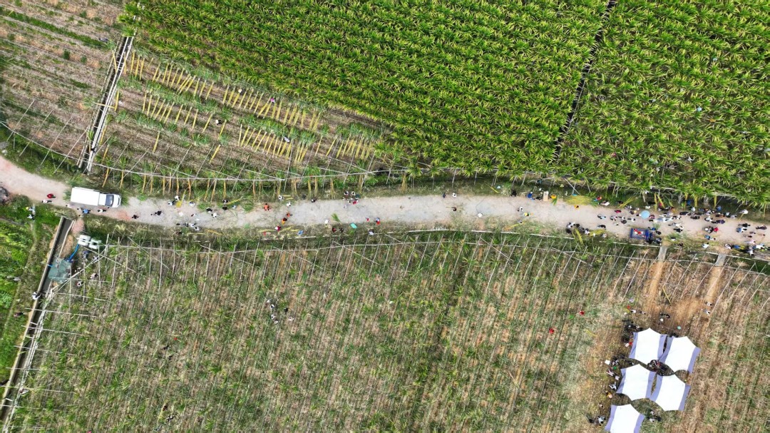 微信图片_20260322175803_503_129