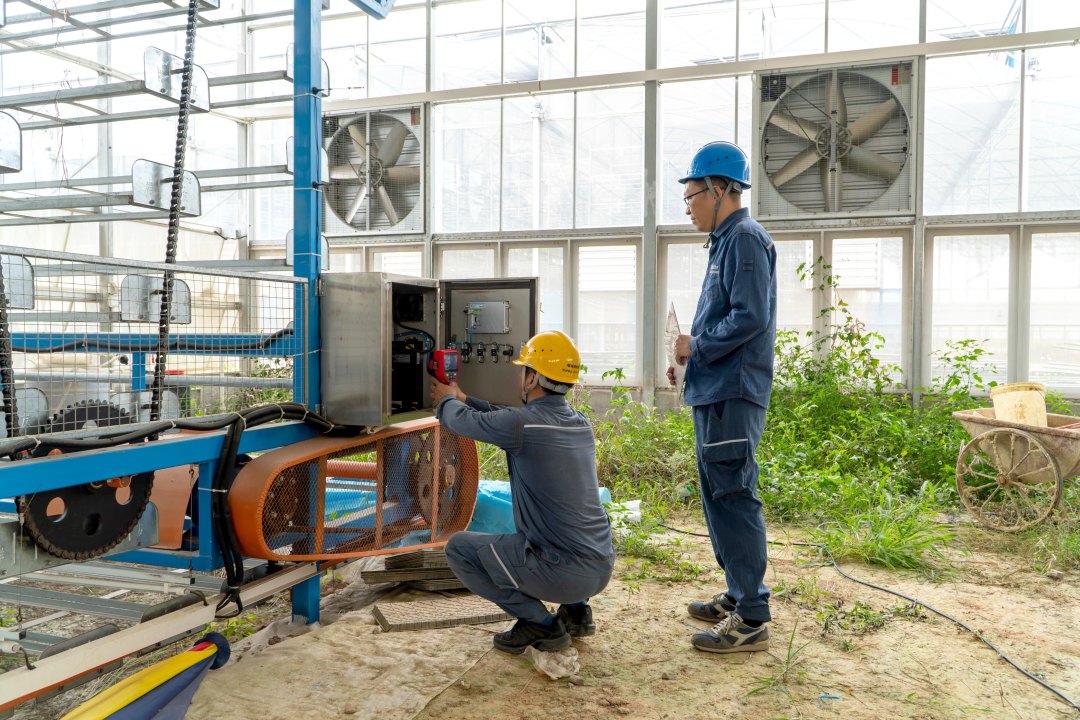 广州增城供电局工作人员到丝苗米现代农业产业园,检查农业设备确保用电可靠。