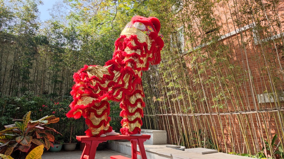 醒狮对于锻炼青少年们的身体素质、团队配合、坚韧精神以及对传统文化的理解价值很大。