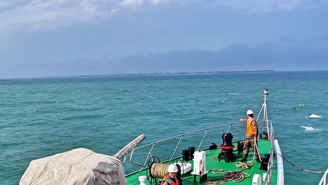 图片1:舰艇编队进行系泊作业时偶遇白海豚