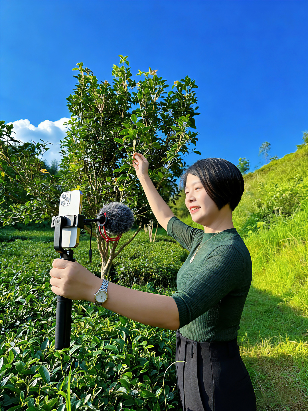 微信图片_20260324205931_6439_477