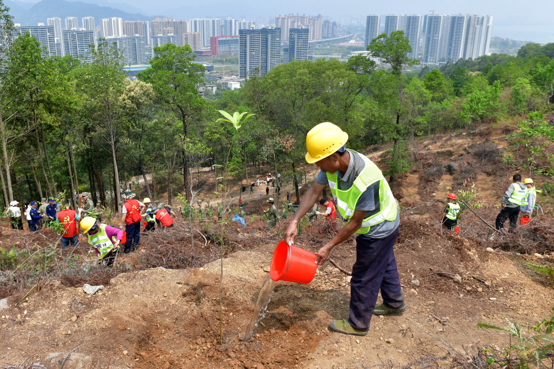 3月25日,广东西江流域国土绿化示范项目开工暨春季造林活动在肇庆市举办,标志着这项绿美广东生态建设重大项目正式拉开建设帷幕。图为造林工人在羚羊峡古栈道森林公园造林点植树。