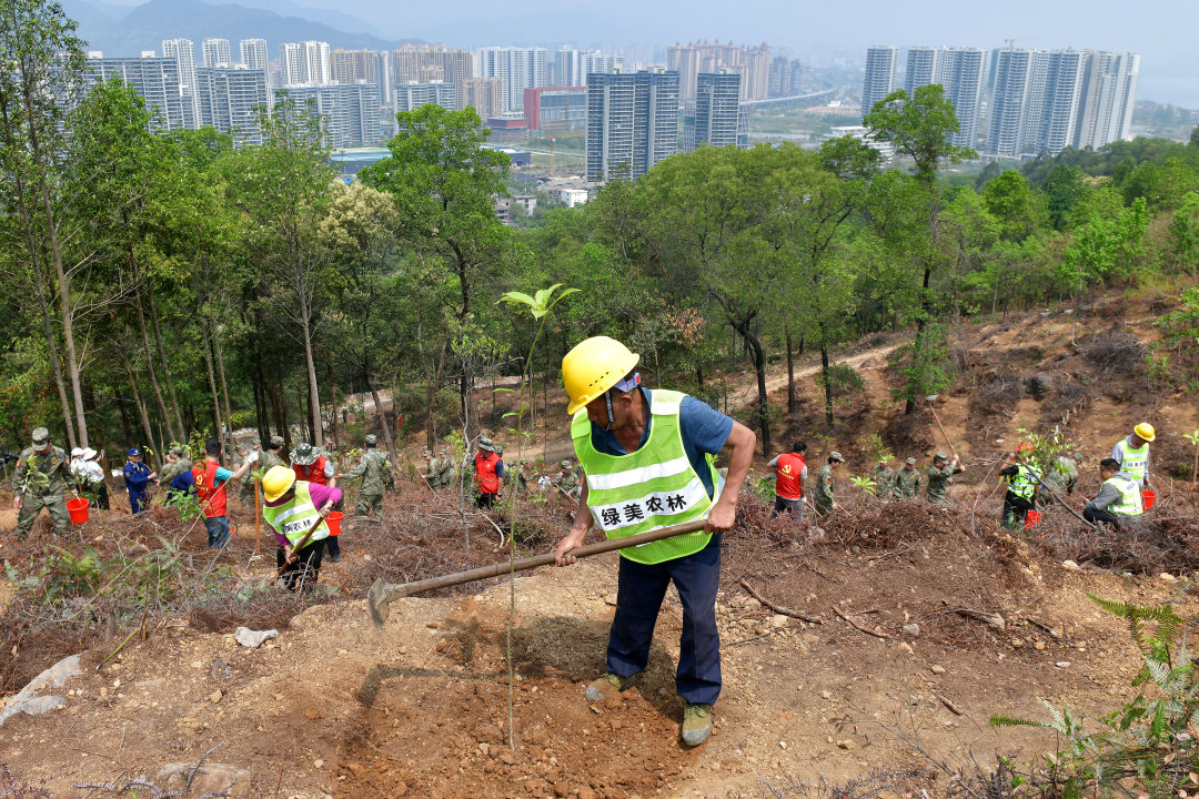 3月25日,广东西江流域国土绿化示范项目开工暨春季造林活动在肇庆市举办,标志着这项绿美广东生态建设重大项目正式拉开建设帷幕。图为造林工人在羚羊峡古栈道森林公园造林点植树。