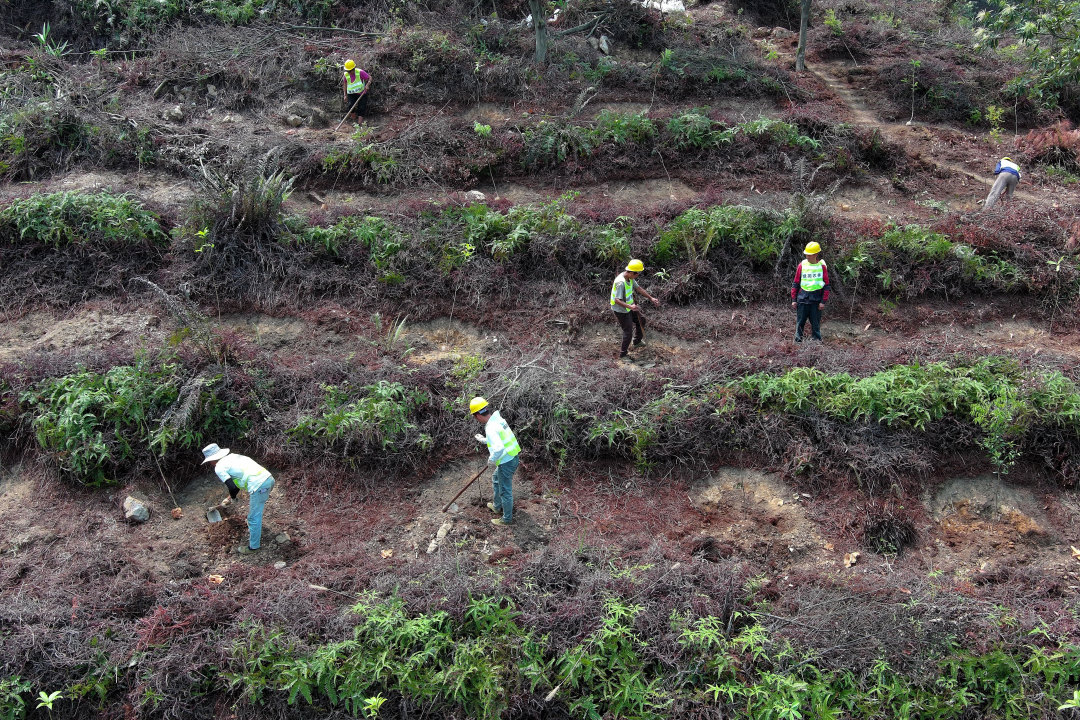 3月25日,广东西江流域国土绿化示范项目开工暨春季造林活动在肇庆市举办,标志着这项绿美广东生态建设重大项目正式拉开建设帷幕。图为造林工人在羚羊峡古栈道森林公园造林点植树。