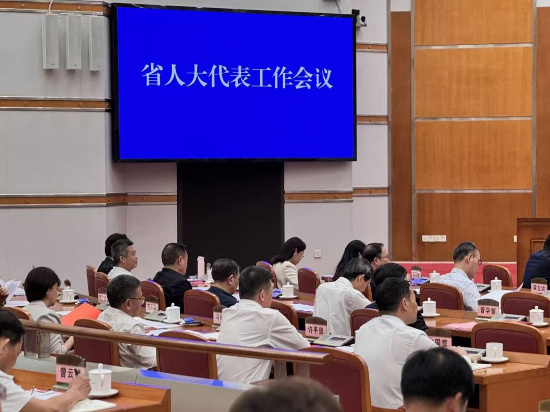 3月26日下午,广东省人大代表工作会议在广州举行。