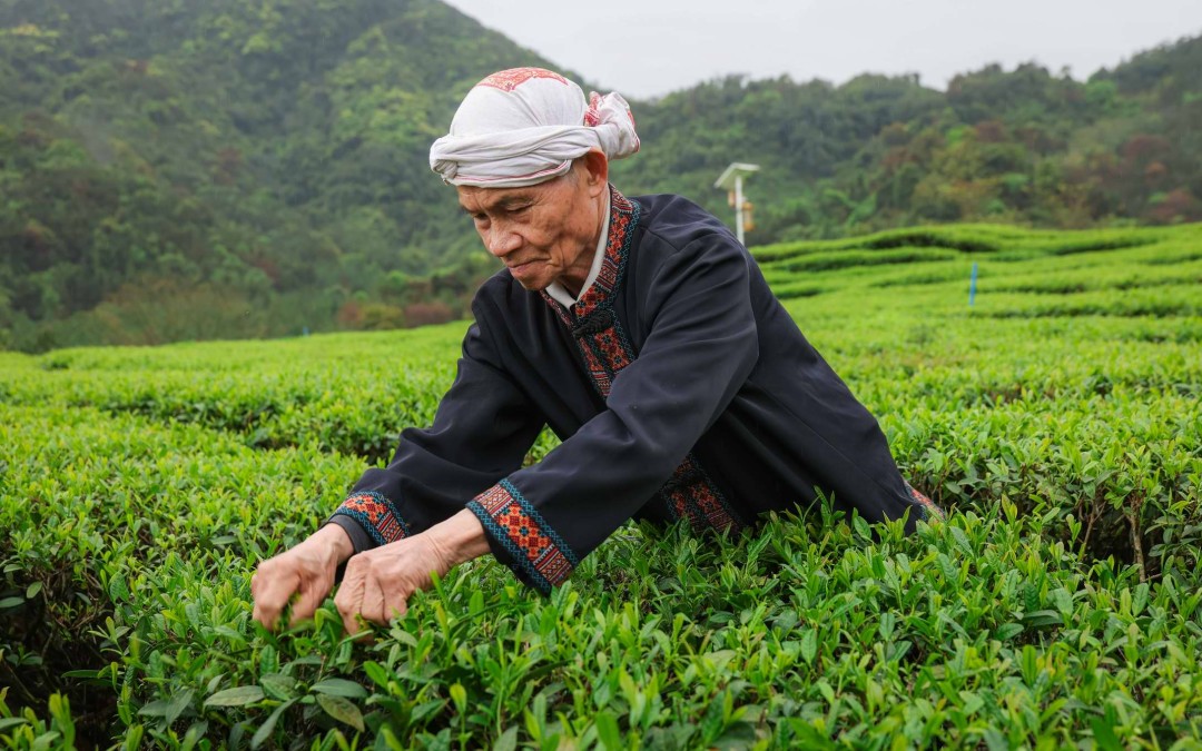 0H0A0360(2840172)-20260328134518