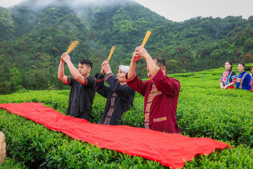 0H0A0118(2840163)-20260328134458