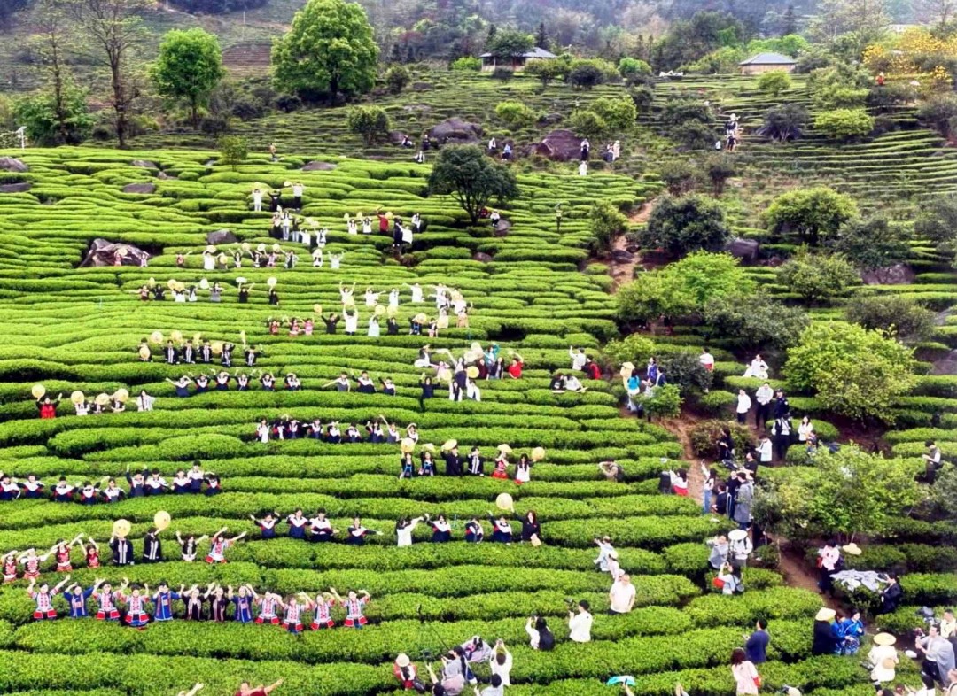 暴风截图20263284128093