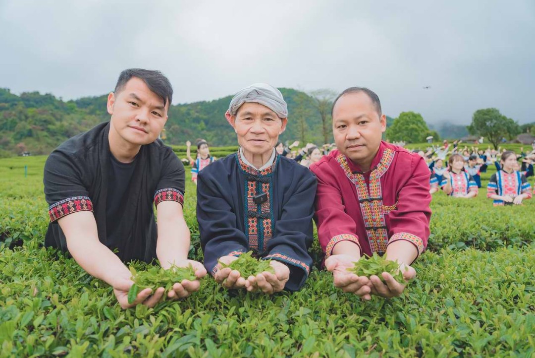 DSC00002(2840145)-20260328165700