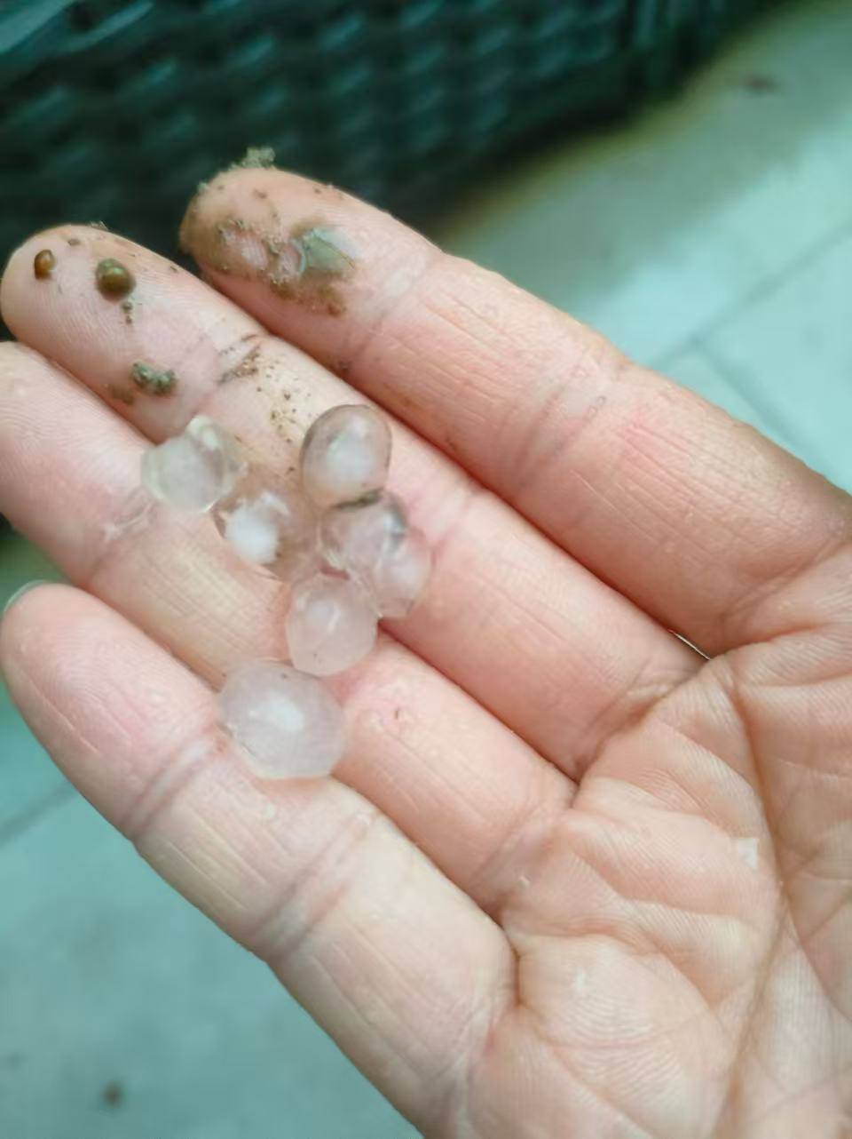 微信图片_20260329155516