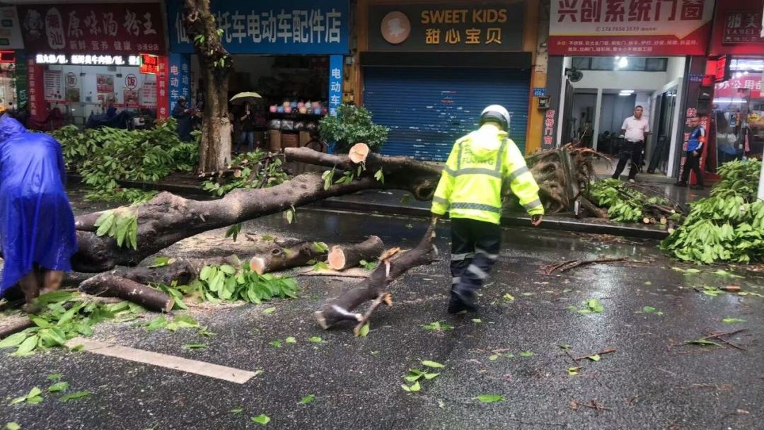 微信图片_2026-03-30_184033_911