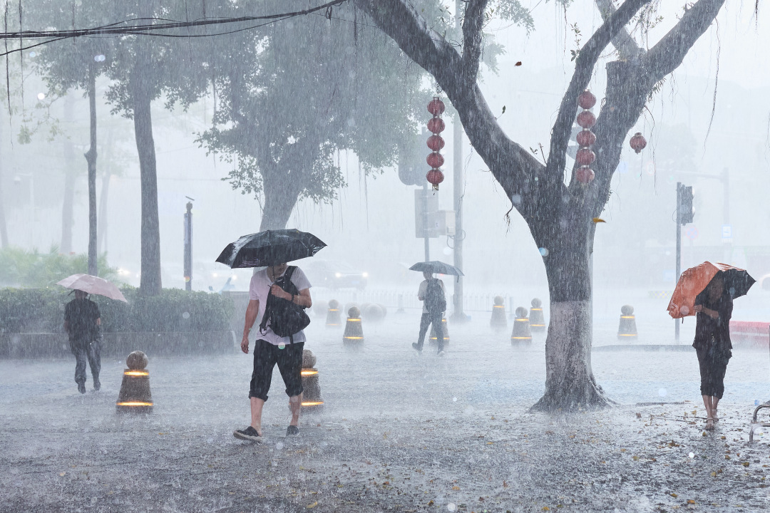 b149ac95322a4998a7b59d1d2f66d41c