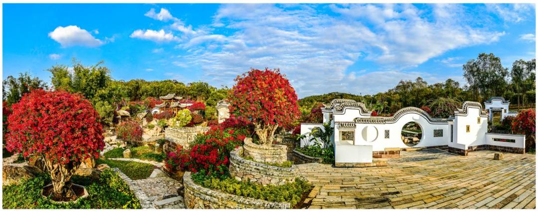 狮岭镇马岭观花植物园