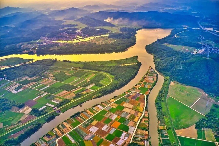 植树超6万株!广州增城全力推进乡村绿化美化