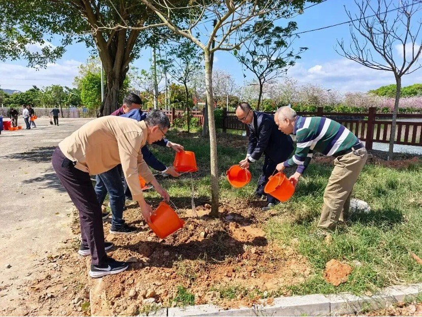 植树超6万株!广州增城全力推进乡村绿化美化3